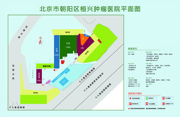 哎呀操逼插鸡巴视频北京市朝阳区桓兴肿瘤医院平面图